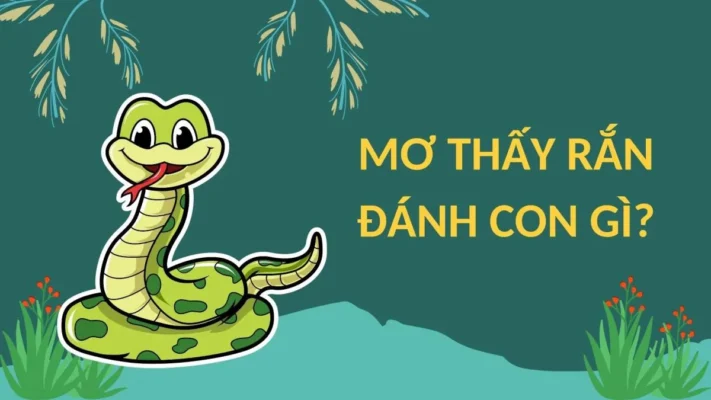 thấy rắn